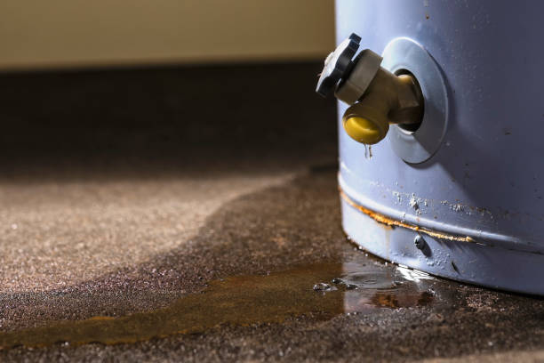 Best Flood damage cleanup  in Greentown, OH