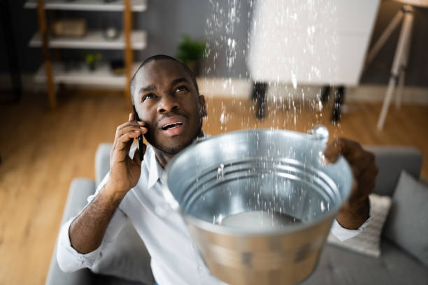 Best Water damage cleanup near me  in Greentown, OH