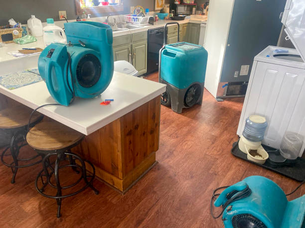 Best Commercial water damage restoration  in Greentown, OH