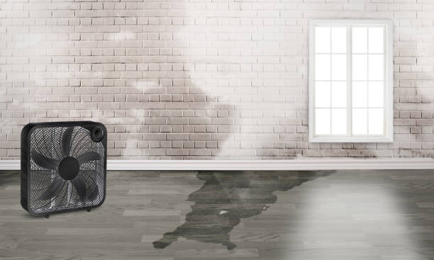 Greentown, OH Water damage restoration Company