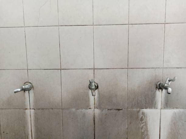 Best Water damage restoration mold remediation  in Greentown, OH